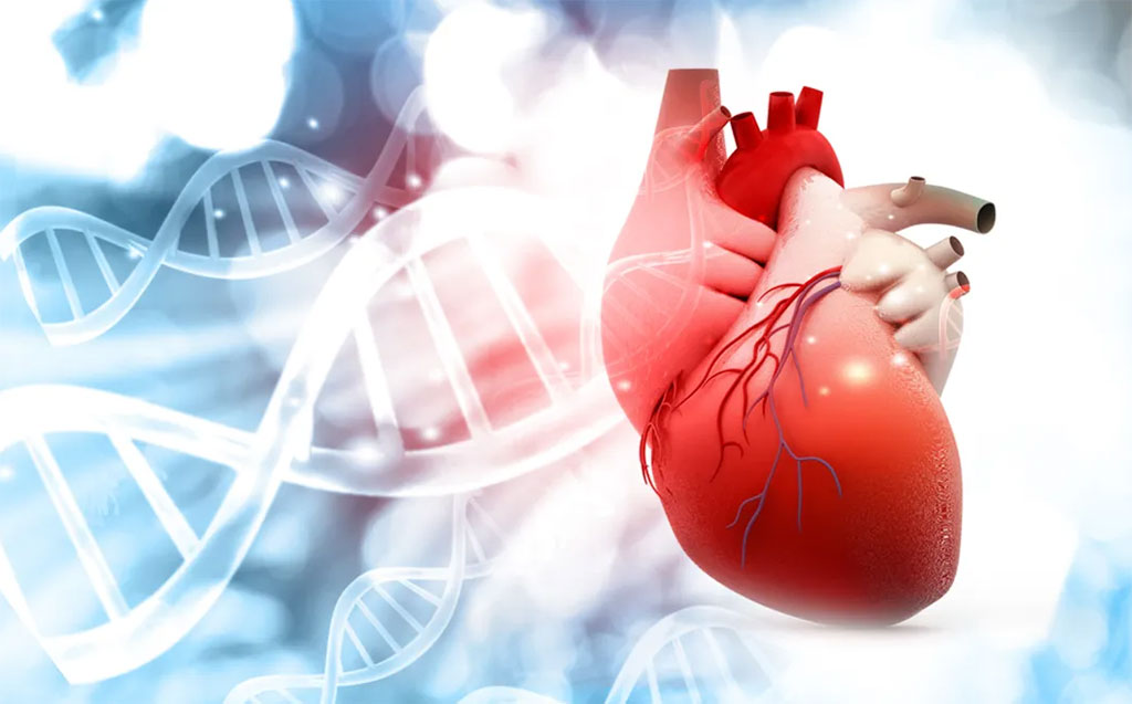 Heart Test