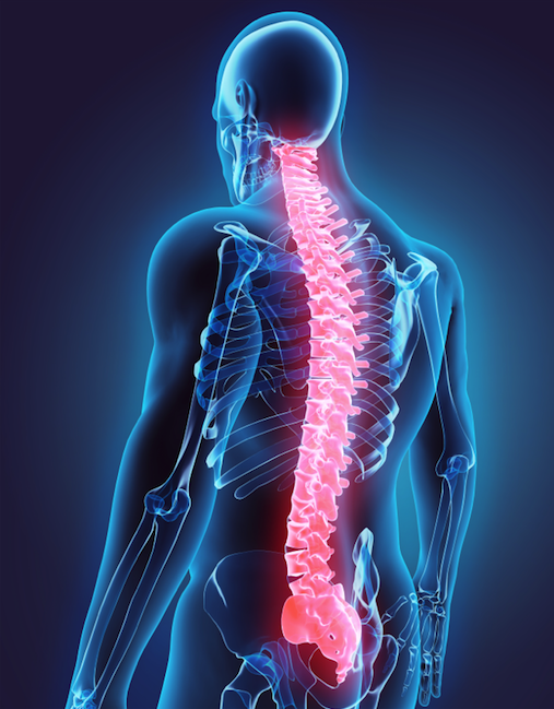Spine Disorders